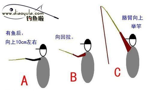 怎样避免抛满竿