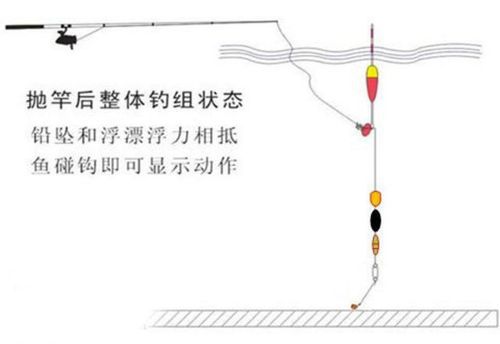 网箱边筏钓鱼技巧