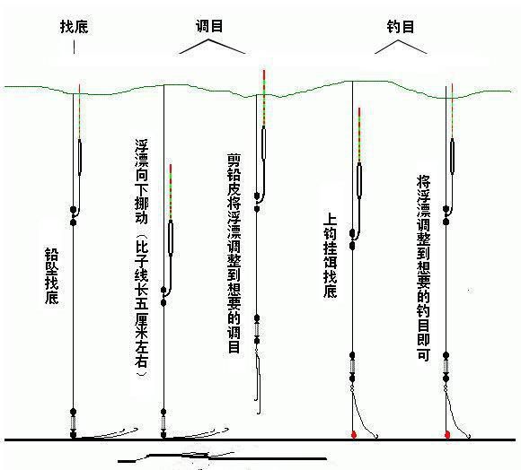 钓鱼控鱼技巧视频