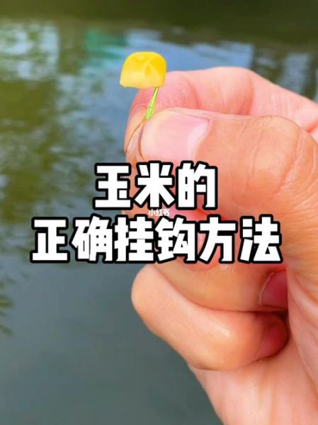 使用玉米钓鱼技巧