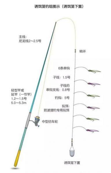 钓二斤巴鱼用什么线组