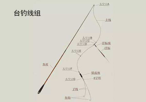 手竿钓鱼：主线的重要性与知识解析