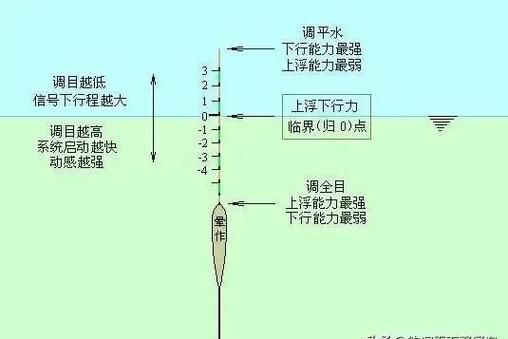 过河钓主线长度解析：如何选择最适合的主线长度？