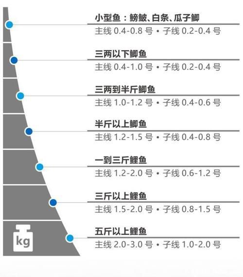 关于手杆钓鱼时使用主线还是子线的问题解析