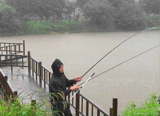 秋天下雨后是否适合钓草鱼——钓鱼爱好者的绝佳时机？