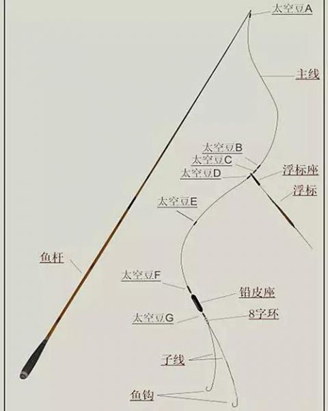 【挂子线和主线技巧解析视频】教你轻松掌握挂线技能，打