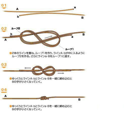 详细解析主线头绑法：步骤、技巧与注意事项