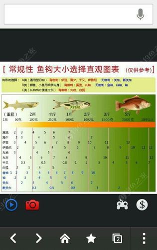 一斤草鱼适用的钩型大小及钓鱼技巧详解