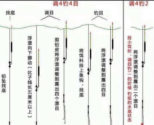 高温天气钓草鱼的技巧与策略