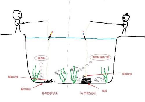 钓草鱼：钓底还是钓浮？策略与技巧详解