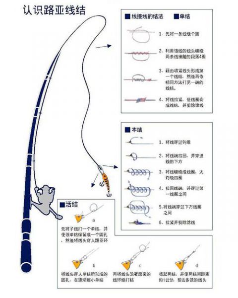 路亚主线安装方法及步骤详解