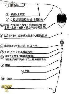 海钓筏竿主线选择——关键步骤与要素解析