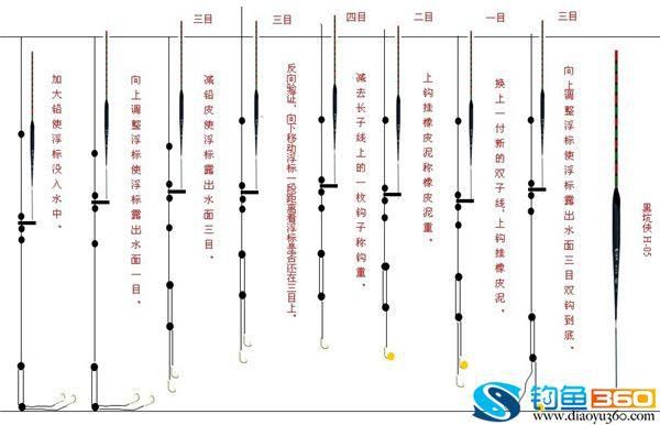 钓鱼底线与主线的重要性：钓鱼技巧中的关键要素解析