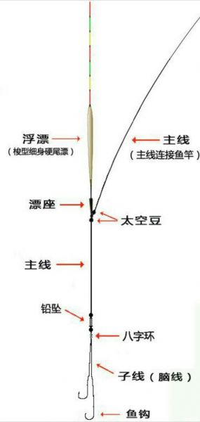 【钓鱼攻略：如何选择适合你的手竿主线——几号线的最佳搭配】