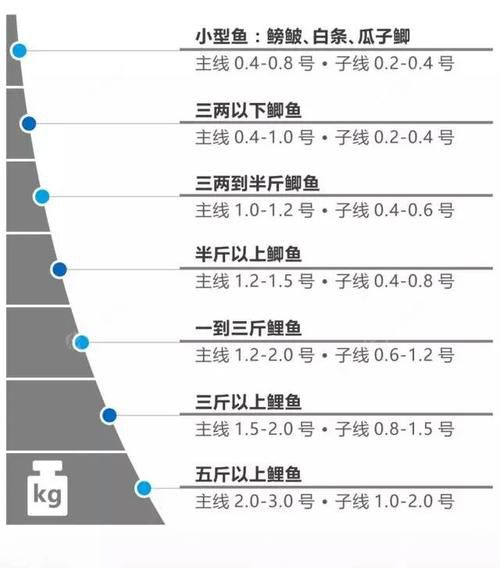 钓鱼主线与子线搭配指南：图解最佳组合策略