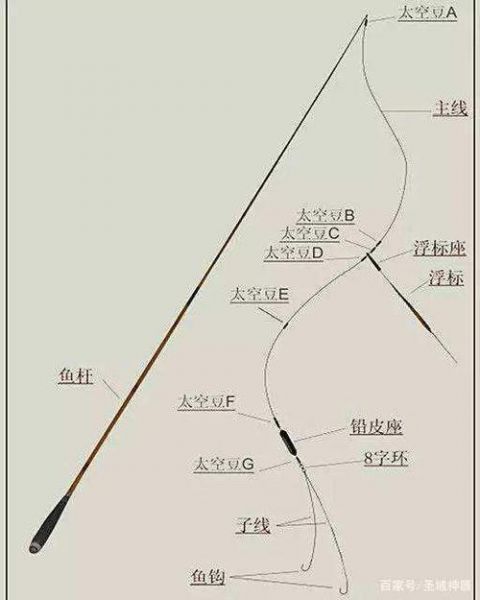 抛竿钓鲫鱼主线技巧详解