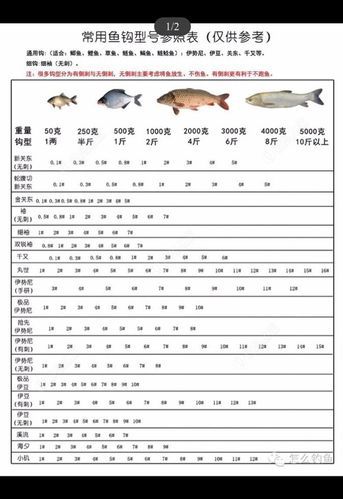 【钓鱼秘籍：如何选择适合5号主线的钓钩大小】