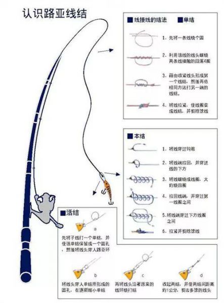 海钓主线与碳线的连接技巧：打造完美组合，提升钓鱼体验