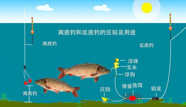 草鱼秋季垂钓策略：钓底还是钓浮？