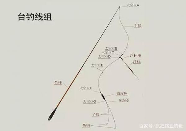 【手把手教你制作高效实用的鱼竿主线线组】