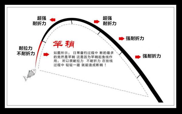 全面解析鱼竿主线：构成、材质与特点