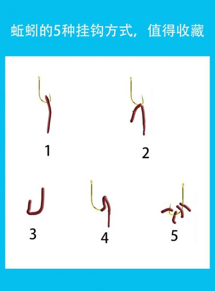 钓鱼饵料挂 鱼钩视频教程