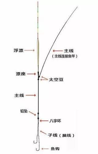 冬钓鲫鱼的线组图片