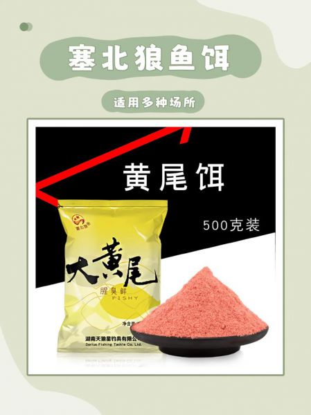 冬季钓黄尾用什么饵料