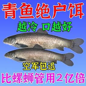 现在掉青鱼用什么饵料