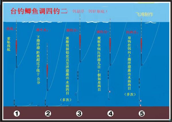 钓鱼怎样调拉饵料视频