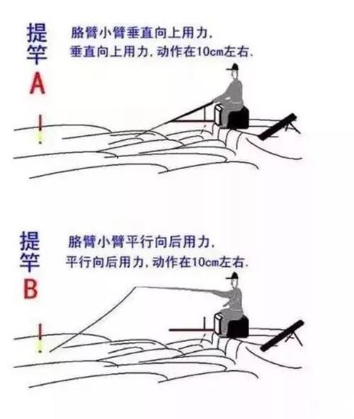 饵料钓鱼 该如何提竿