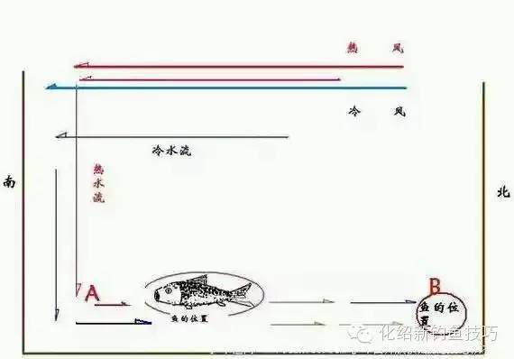 水库冬钓鳙鱼定位