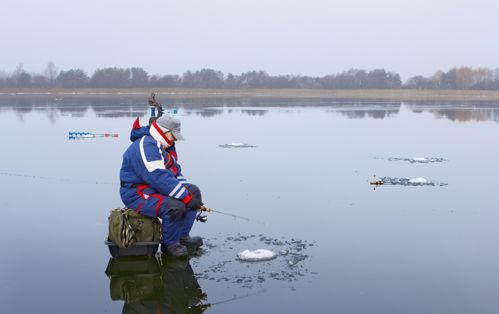 湖泊冬钓鲫鱼视频