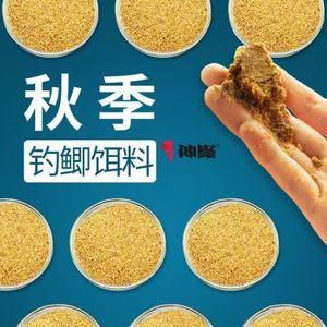 夏季垂钓用什么饵料