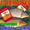 天津唐海鲤鱼钓鱼饵料