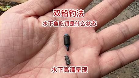 冬钓鲫鱼可以用双铅吗