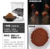 鲢鳙打窝能不能用饵料