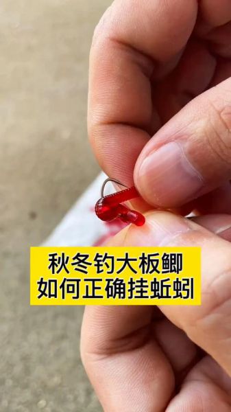 初冬钓鲫鱼蚯蚓可以吗