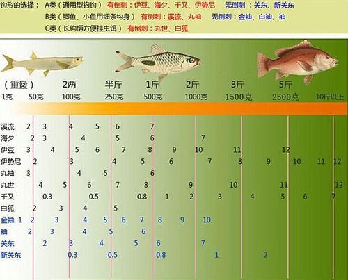 附在钩上饵料多大合适