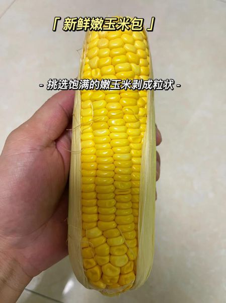 玉米糁如何制作饵料