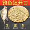 饵料钓鱼怎么判断上鱼