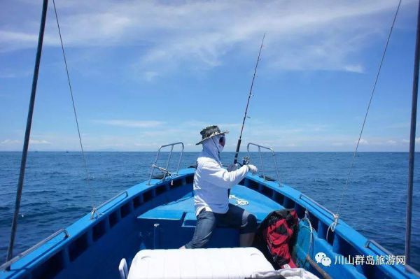 海边码头冬钓视频