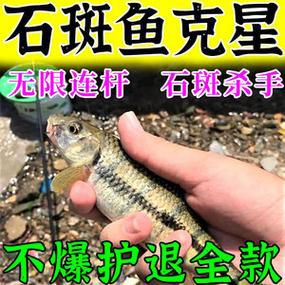 钓白斑狗鱼用什么饵料