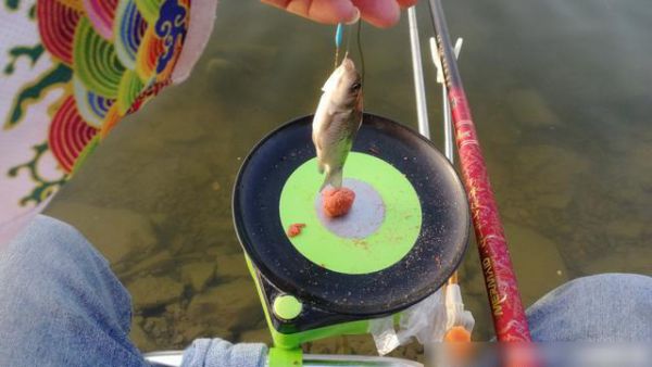 饵料在水底状态视频