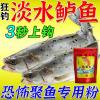 钓海鲈鱼鱼用什么饵料