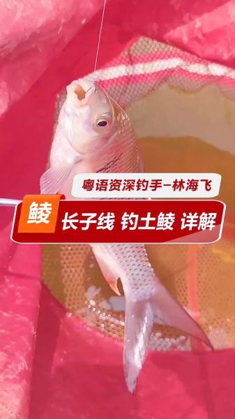 如何根据水温调饵料