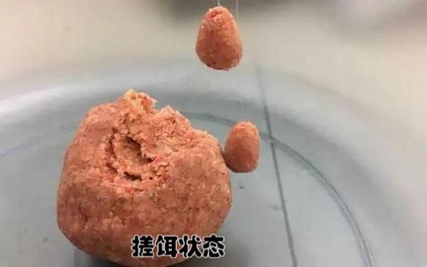 冬钓大鹏拉饵还是搓饵