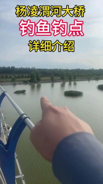 冬钓桥下和深水哪个好