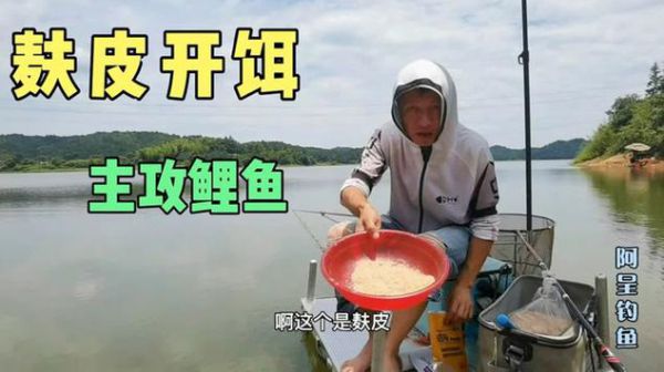 秋季钓鱼开饵料视频