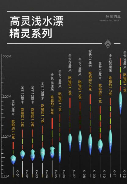 冬钓野钓用多重的漂